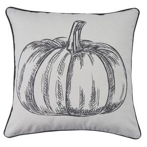 Park Designs Pumpkin Print Pillow Cover 20" Set of 2 - 1 of 4