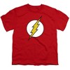 Boys' Short Sleeve the Flash Lightning Bolt Logo T-Shirt - 2 of 4