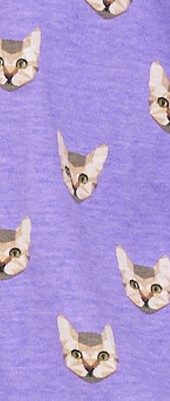 cats on lavender