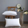 Aghana Digitals Premium Comfort Microfiber Pillows - Soft, Breathable, Versatile Support for All - 2 of 3