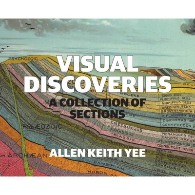 Visual Discoveries - by  Allen Keith Yee (Paperback)