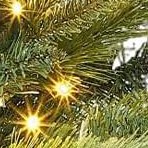 3ft 70 lights