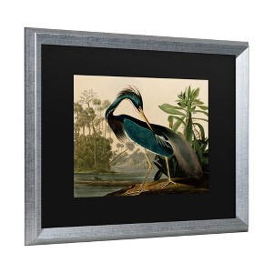 "Louisiana Heron" Outdoor Canvas - 1 of 3