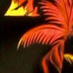 night view palm black