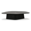 TOV Furniture Roche Ash Low Coffee Table - 3 of 4