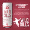 Wild Bill's Craft Soda, Creamy Variety Pack - 12 Fl Oz Can (Pack of 12) - 3 of 4