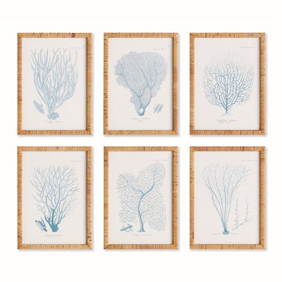 Plum & Post 16"W x 1"D x 22"H Sea Fan And Coral Study In Blue Framed Wall Art Set of 6