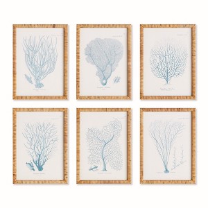 Plum & Post 16"W x 1"D x 22"H Sea Fan And Coral Study In Blue Framed Wall Art Set of 6 - 1 of 3