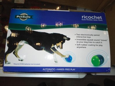 Ricochet Electronic Dog Toy