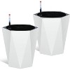 Tall Planters Set of 2, Self Watering Plant Pots with Water Level Monitor, Outdoor Planters with Wheels, Indoor Flower Pots - 2 of 4