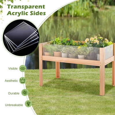 Natural Fir Wood 31" Raised Garden Bed with Acrylic Panels