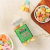 Rani Brand Authentic Indian Foods | Indian Candies PET Jar - 2 of 4