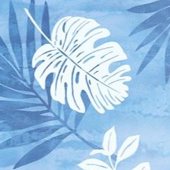light blue palm