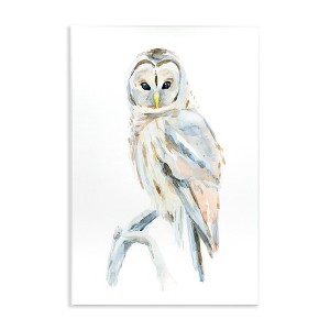 Stupell Industries Winter Artic Owl Portrait Perched on Tree Branch Wall Plaque Art, 13" x 19" - 1 of 4