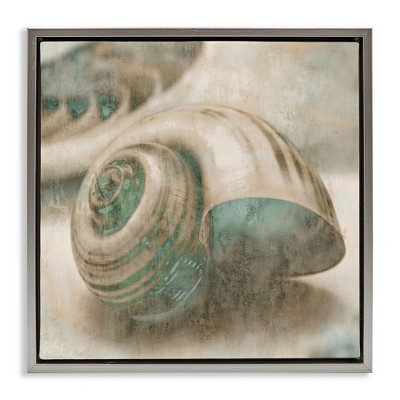 Stupell Industries Centered Sharkeye Seashell, 18" x 18"