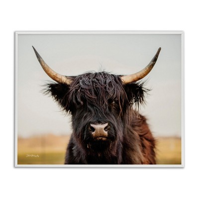 Stupell Industries Black Highland Cow Portrait, 30" x 24"