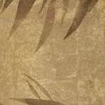 clear push pins bundle