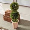 Plum & Post Boxwood Double Faux (Fake) Sphere Topiary 20" - 4 of 4