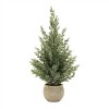 Potted Mini Pine Tree (Set of 2) - 3 of 3