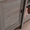 Cottage Road TV Stand for TVs up to 65" with Doors - Sauder - 4 of 4