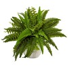 Nearly Natural Boston Fern in White Planter - image 2 of 2