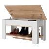 Vynxaria Daffodil Bench, Liftable Top And Lower Panel - 4 of 4