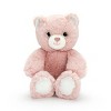 FAO Schwarz 7" Dusty Pink Glitter Bear Toy Plush - 3 of 4