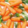 Juvale 45 Pack Artificial Fake Baby Carrots, Sparkling Foam Pretend Kitchen Play Food, Veggie Toys for Kids, DIY Craft, Home Decor, Easter Party - 4 of 4