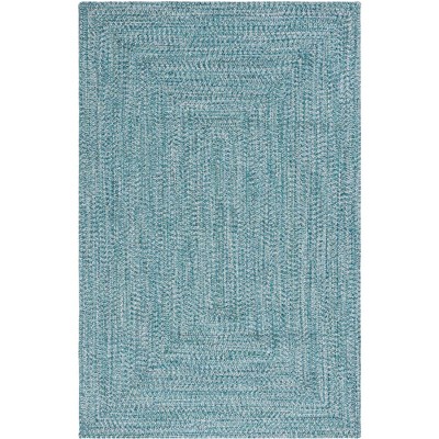 Braided BRA201 Hand Woven Rug - Safavieh