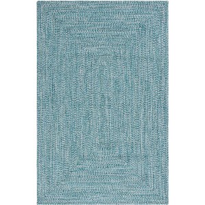 Braided BRA201 Hand Woven Rug - Safavieh - 1 of 4