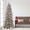 7.5ft Puleo Pre-Lit Flocked Slim Royal Majestic Douglas Spruce Artificial Christmas Tree Clear Lights - 2 of 3