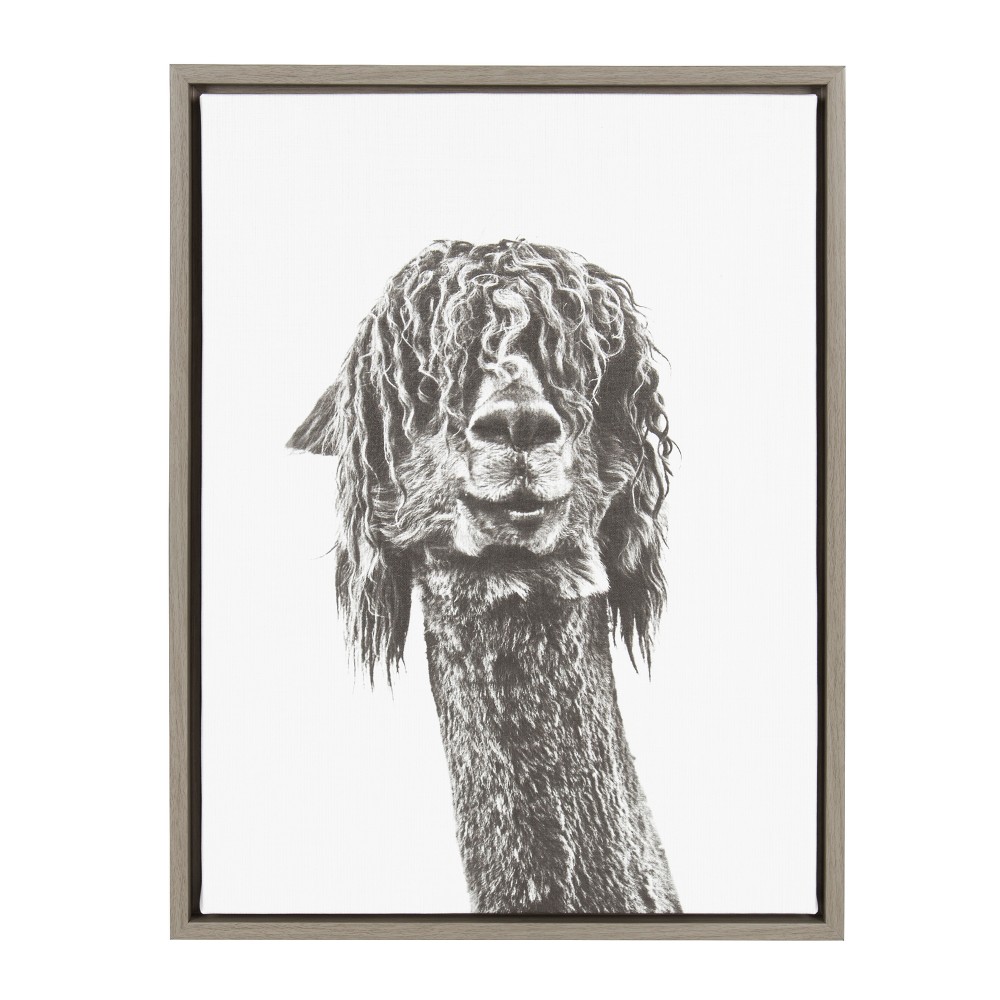 Photos - Other Decoration 18" x 24" Sylvie Curly Hair Alpaca Framed Canvas by Simon Te Tai - Kate and Laurel: Modern Wall Art, Animal Portrait