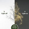 LuxenHome 5.9 Pre-Lit Birch Artificial Tree with Realistic Faux Tree Trunk Brown - 3 of 4