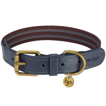 Poisepup – Luxury Pet Dog Collar – Soft Premium Italian Leather Padded  Adjustable Collar For Small, Medium And Large Dogs - Ocean Vibes : Target