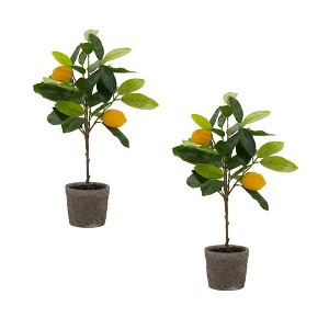 Melrose Potted Lemon Tree (Set of 2) - 1 of 3