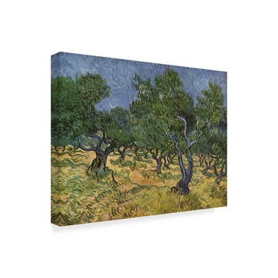 Trademark Fine Art -Vincent Van Gogh 'Olive Orchard Midjune' Canvas Art