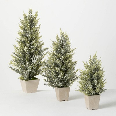 Sullivans 23", 18" & 14" Pine & Berry Artificial Tree Set of 3, Green
