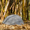 Outdoor Natural Artificial Round Rock Decor for Gardens, Lawns, and Landscapes - 4 of 4