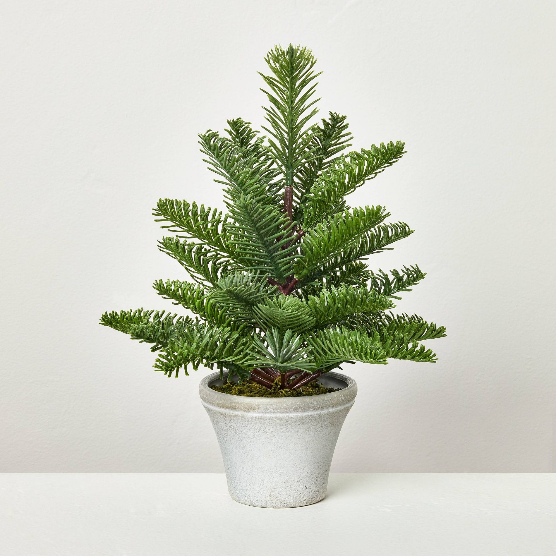 10" Potted Spruce Artificial Tree - Hearth & Hand™ with Magnolia