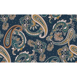 Briarwood Lane Everyday Doormat 30x18 Indoor Outdoor Paisley Doormat - 1 of 4