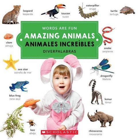 Amazing Animals / Animales increíbles (Hardcover) - image 1 of 1