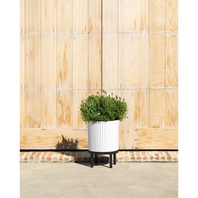 White and Black Fluted Planter with Acacia Wood Stand