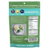 Wilderness Poets, Organic Wheatgrass Juice Powder (3.5 Ounce) - Raw Superfood Greens, USA Grown - 2 of 2