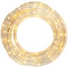 Northlight Warm White LED Outdoor Flexible Christmas Rope Light Set, 18ft - 3 of 4