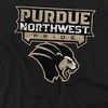 Men's Purdue University Northwest Official Distressed Primary Logo T-Shirt - 2 of 4
