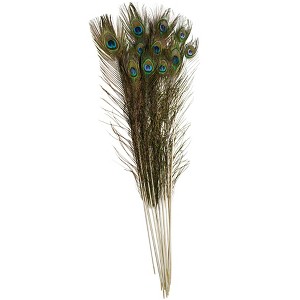 Creativity Street Non-Toxic Peacock Feathers, 35 to 40 Inches, Pack of 12 - 1 of 3