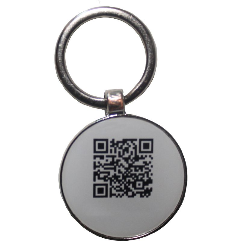 Global Pet Security QR Code Pet Collar ID Tag with Mobile App including Microchip Registration and Medical Records Sharing, 3 of 8