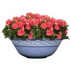 Set of 2 Corinthian Bowl Planters - Classic Home and Garden - 2 of 4