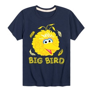 Boys' - Sesame Street - Big Bird Face Short Sleeve Graphic T-Shirt - 1 of 4