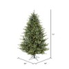 Vickerman Itasca Frasier Artificial Christmas Tree PreLit - 3 of 4